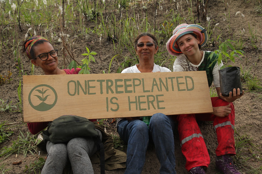 Three women holding a one tree planted sign in a forrest